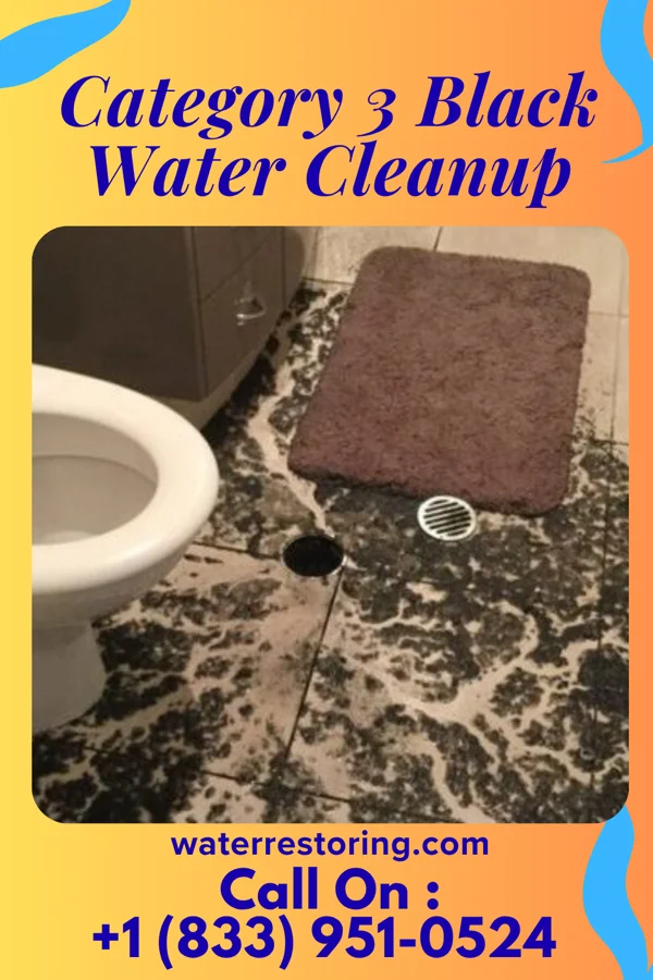 Category 3 Black Water Cleanup in Holly, MI