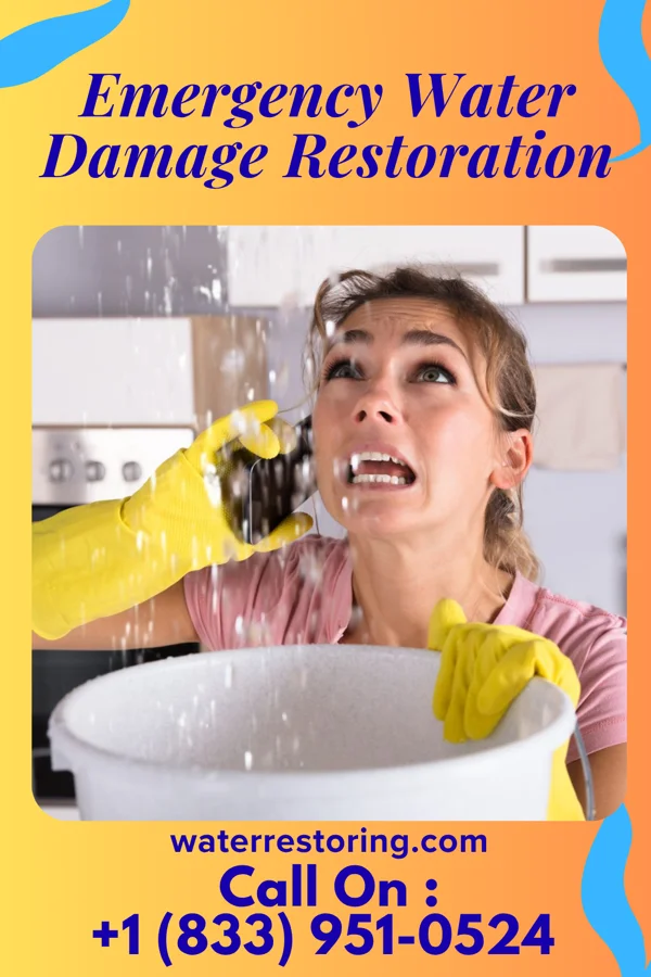 Emergency Water Damage Restoration in Holly, MI