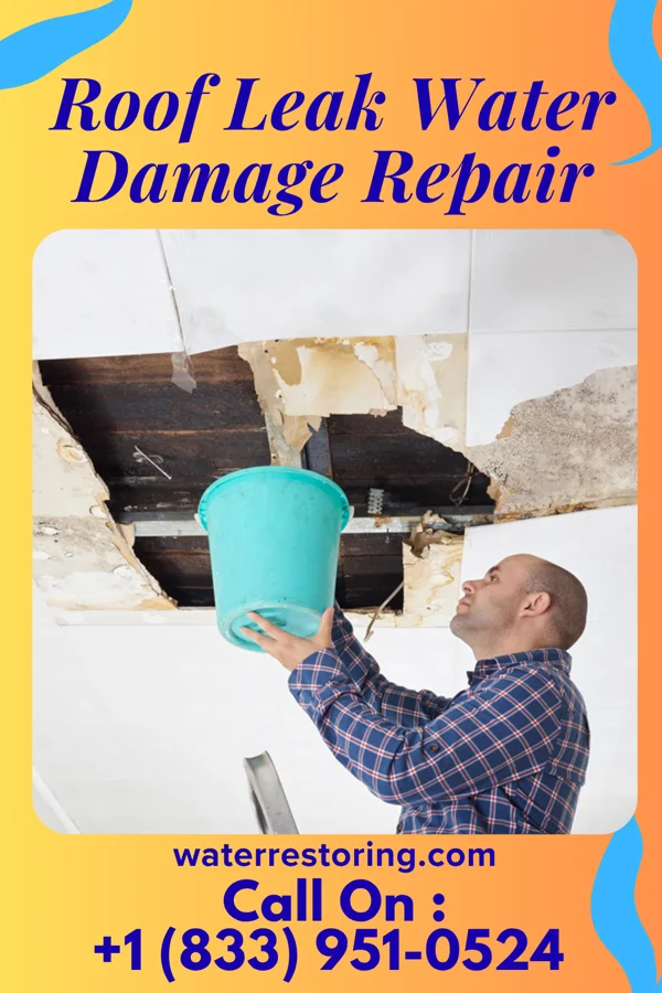 Roof Leak Water Damage Repair in Holly, MI