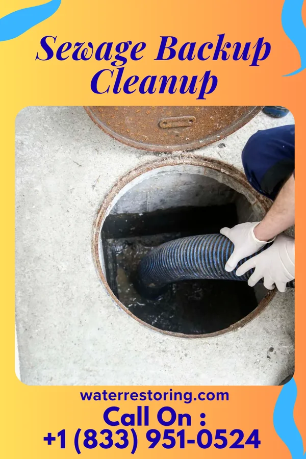 Sewage Backup Cleanup in Holly, MI