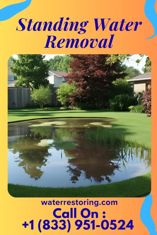 Standing Water Removal in Holly, MI